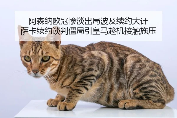 a-sen-na-ou-guan-can-dan-chu-ju-bo-ji-xu-yue-da-ji-sa-ka-xu-yue-tan-pan-jiang-ju-yin-huang-ma-chen-ji-jie-chu-shi-ya-2-917.jpg